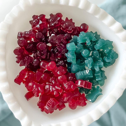 Suncore Foods® Homemade Fruit Snacks