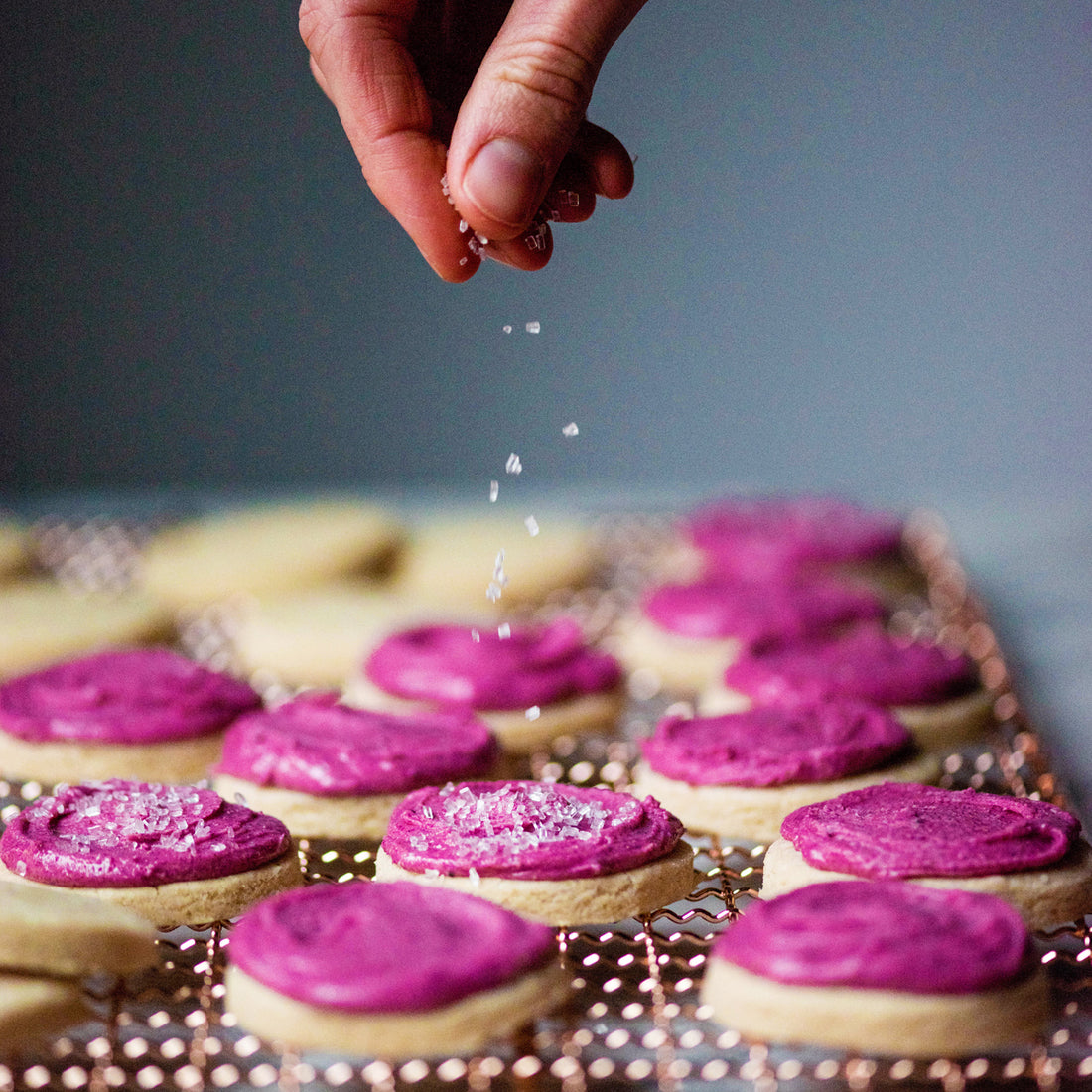 Suncore Foods Pink Pitaya Cashew Frosted Shortbread Cookies