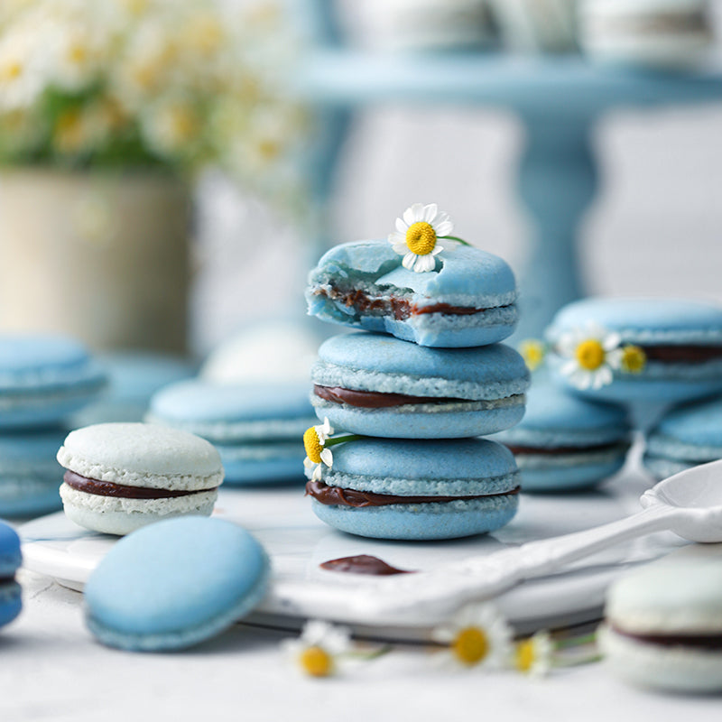 Suncore Foods Pastel Blue Macarons with Coconut Ganache Cream