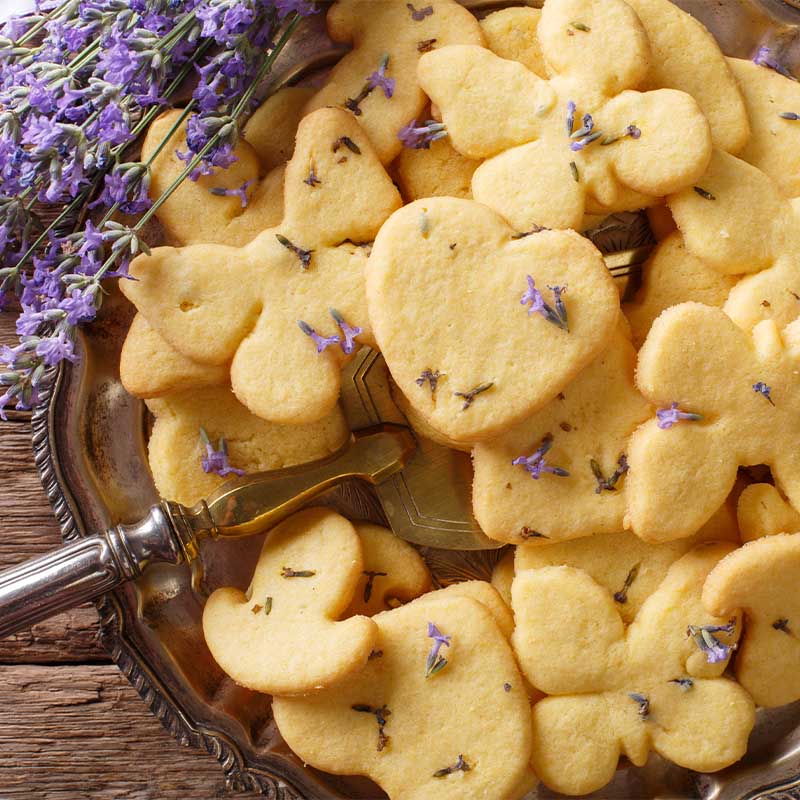 Lavender Flower Buds - Quality Blooms from Suncore Foods - Just $9.89! Shop now at Suncore Foods Inc.